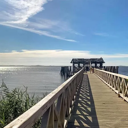 Stunning In Glowczyce