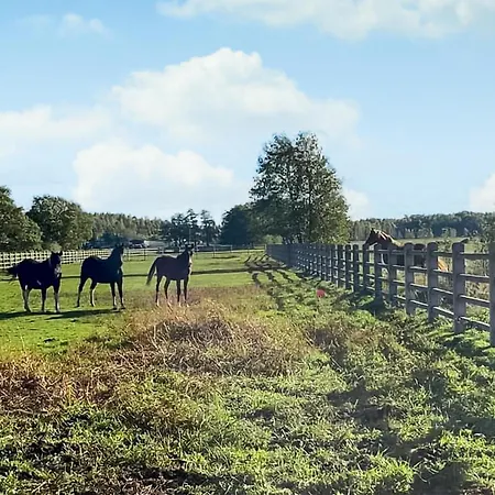 Stunning In * Glowczyce