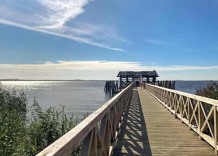 Stunning In Glowczyce