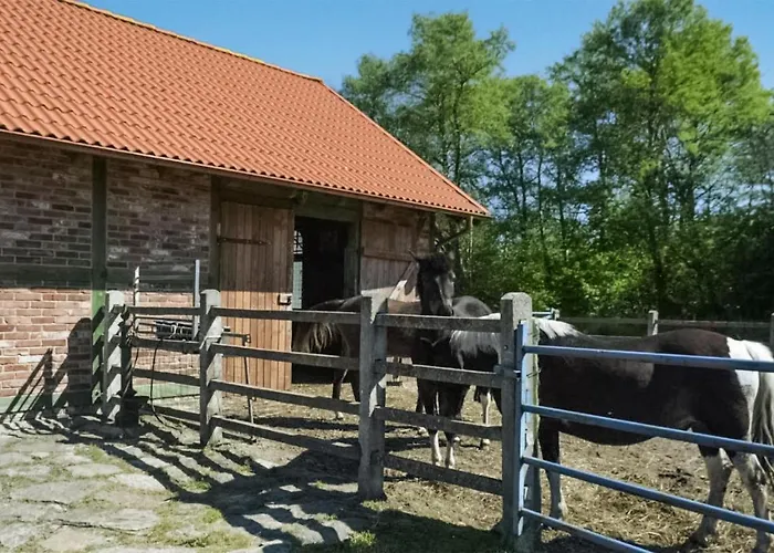 아파트 Stunning In *