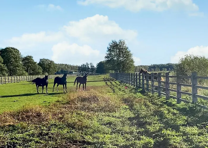 Stunning In * Glowczyce